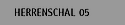 Herrenschal 05