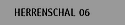 Herrenschal 06