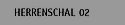 Herrenschal 02