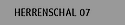 Herrenschal 07