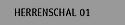Herrenschal 01