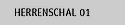Herrenschal 01