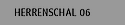 Herrenschal 06